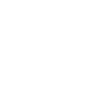 experience icon An icon of two circular arrows surrounding a plane.